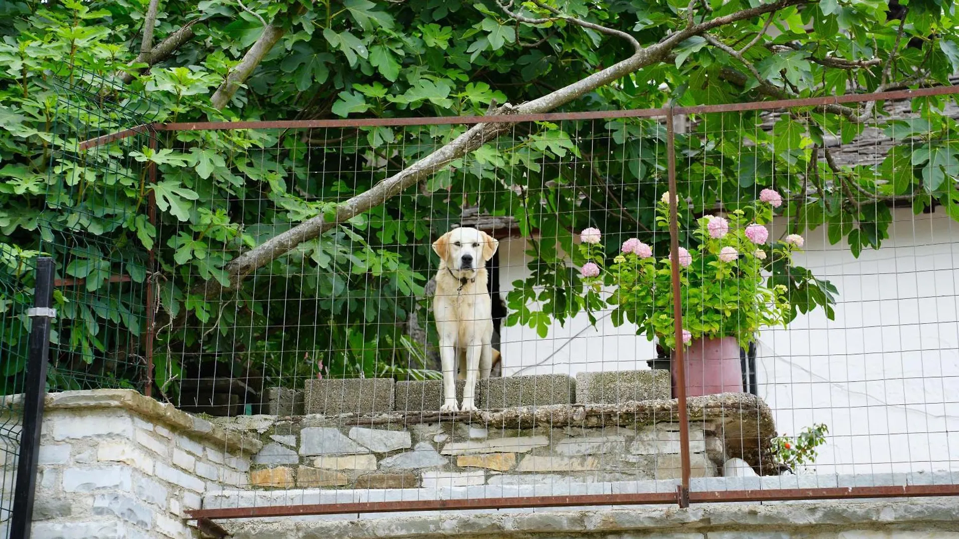 Castlefront Villa Gjirokastër Albanië